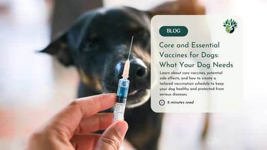 Which Vaccines Does My Dog Really Needs?