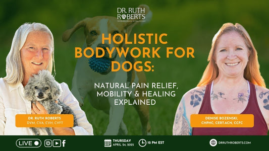 Holistic Dog Bodywork: Natural Pain Relief and At-Home Therapy Explained