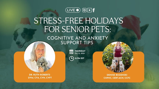 Managing Holiday Stress in Senior Pets: Cognitive and Anxiety Support Tips