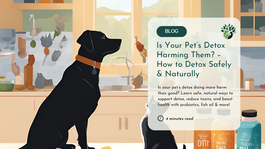 Is Your Pet’s Detox Doing More Harm Than Good? Here’s What You Need to Know