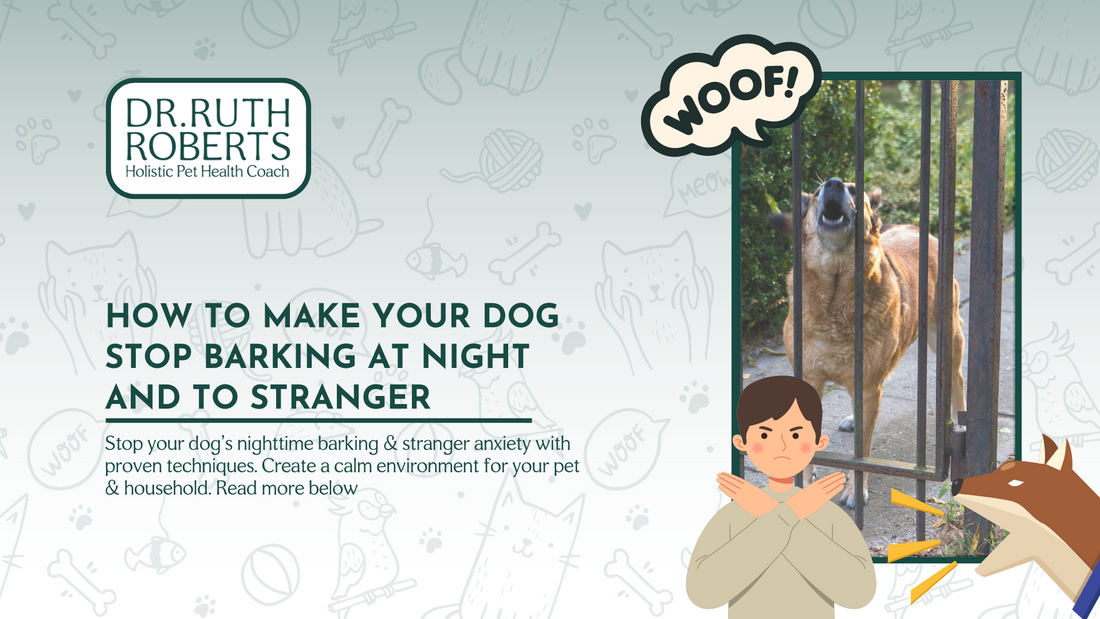 How To Make Your Dog Stop Barking at Night and to Stranger