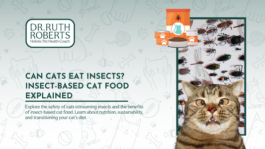 Can Cats Eat Insects? Insect-Based Cat Food Explained