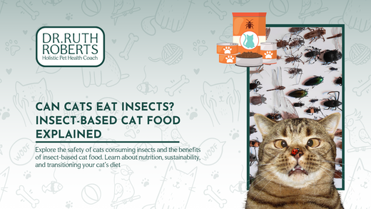 Can Cats Eat Insects? Insect-Based Cat Food Explained