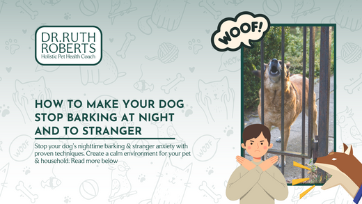 How To Make Your Dog Stop Barking at Night and to Stranger