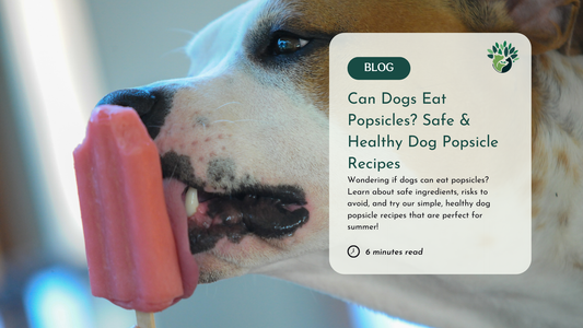 Can Dogs Eat Popsicles?  Safe and Healthy Treats for Your Pup