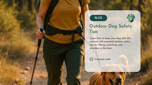 Important Outdoor Pet Safety Tips