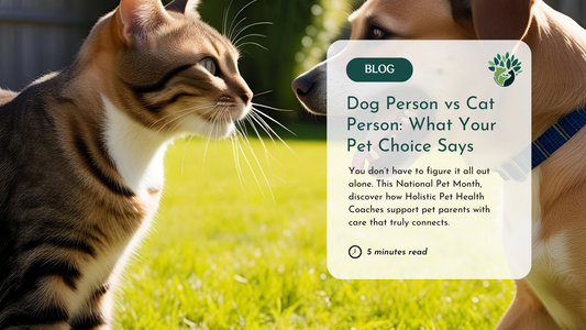 Dog Person vs Cat Person: What Your Pet Choice Says