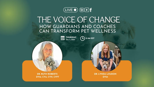 How Guardians and Coaches Can Transform Pet Wellness