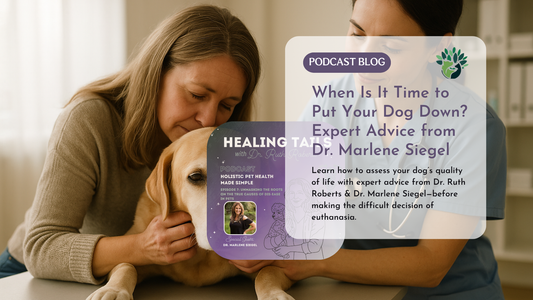 When to Put a Dog Down? How to Find Options Before Goodbye