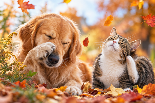 Fall Allergies in Dogs and Cats: A Holistic Guide to Seasonal Itch