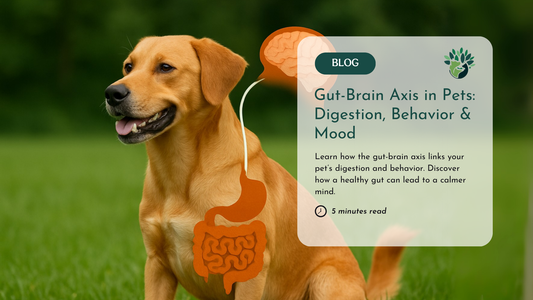 The Gut-Brain Axis in Pets: Digestion, Behavior & Mood