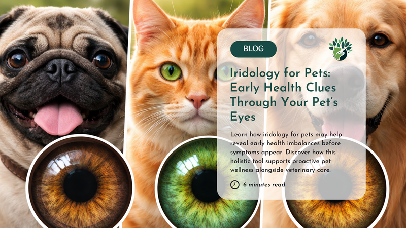 iridolody for dogs and cats