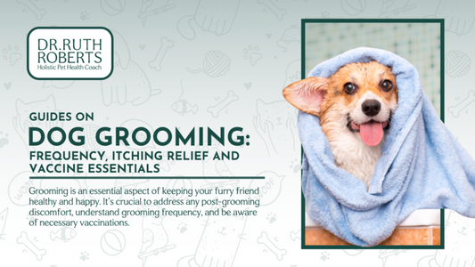 Dog Grooming: Frequency, Itching Relief and Vaccine Essentials