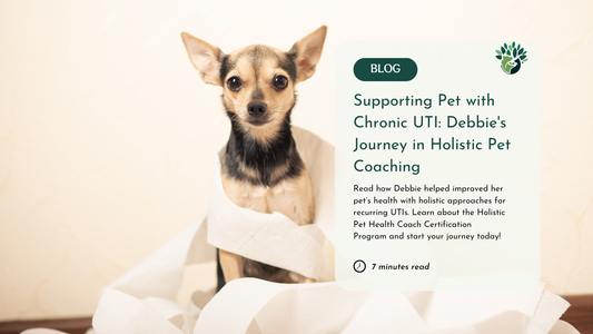 Debbie's Journey in Holistic Pet Coaching & Supporting Pet with Chronic UTI