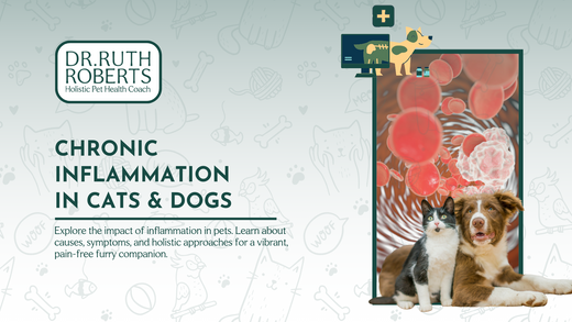 Gentle Ways to Help Ease Inflammation in Dogs and Cats