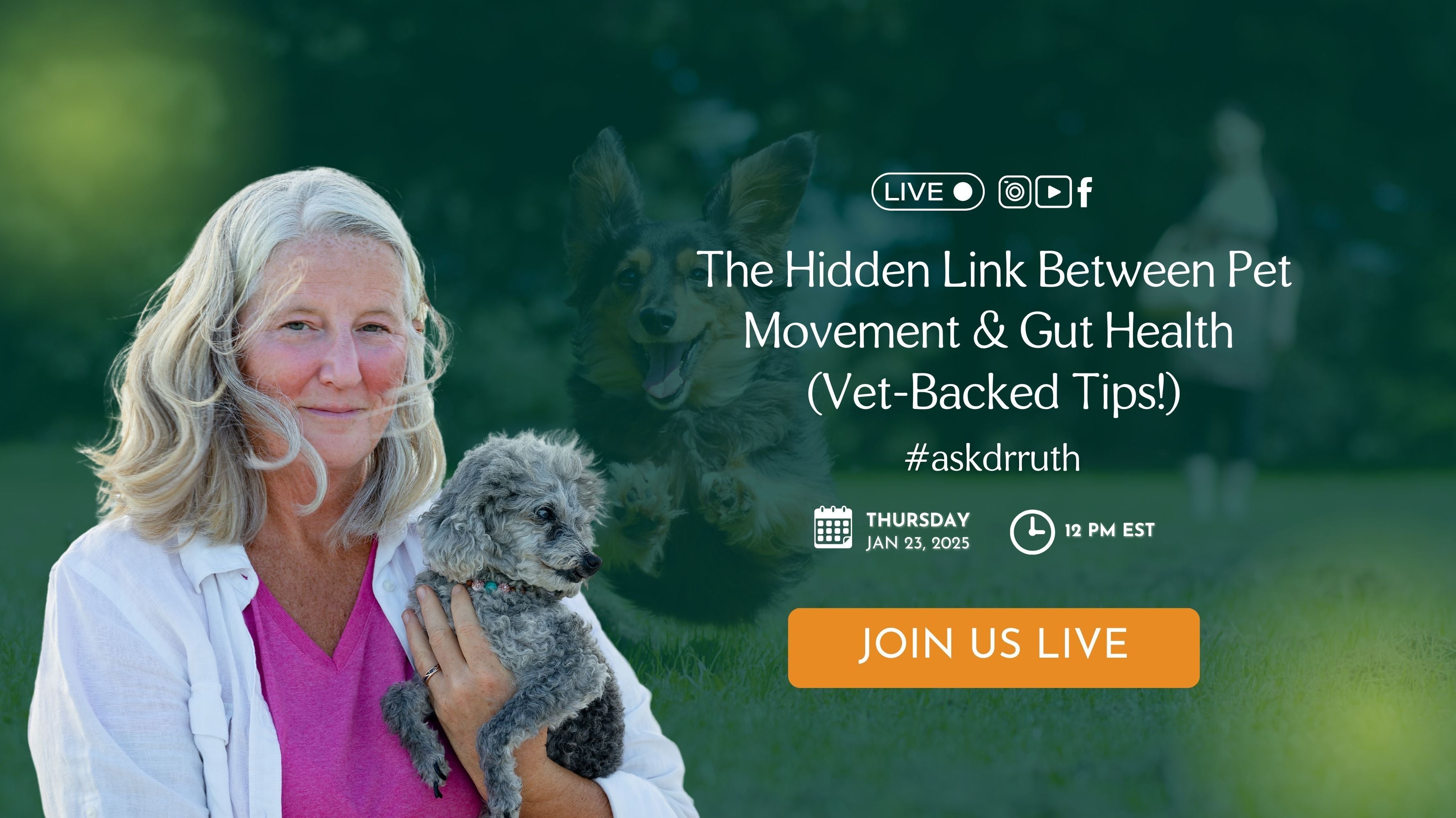 Holistic Veterinary Care and Pet Resources - Dr. Ruth Roberts