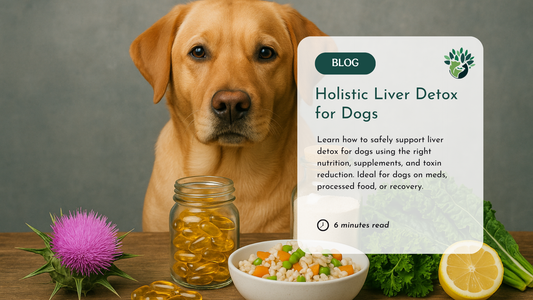 Liver Detox for Dogs: Holistic Support