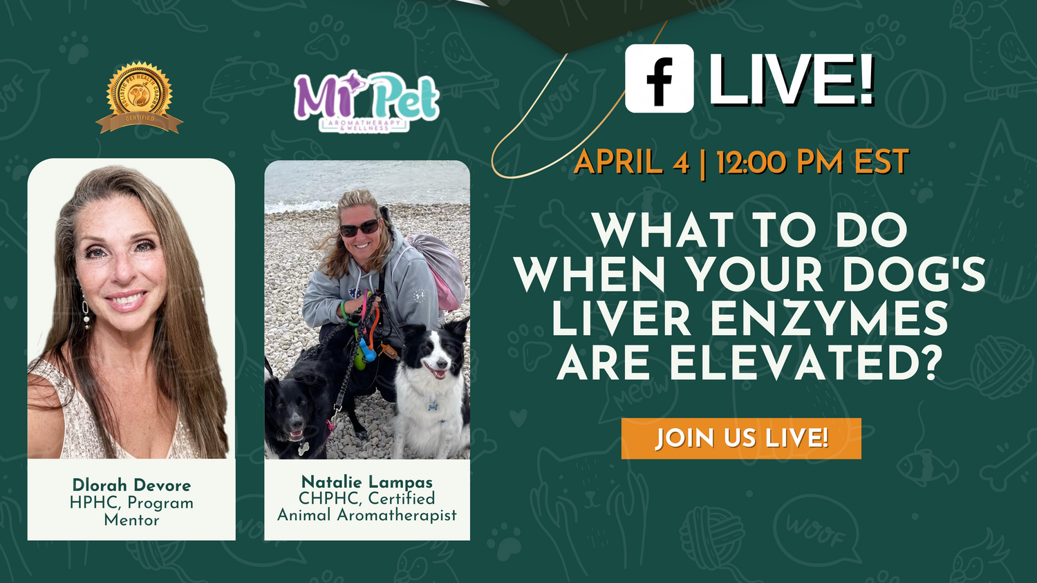 How to Lower Elevated Liver Enzymes in Dogs HPHC Live Event
