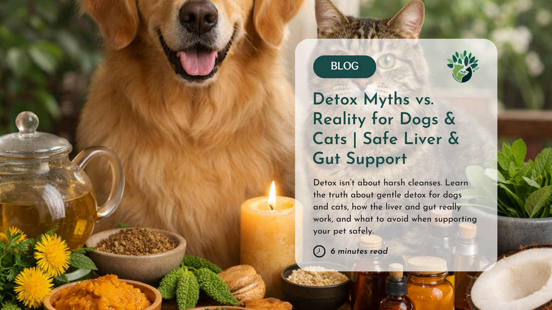 Gentle Detox Myths vs. Reality for Dogs and Cats