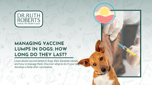 Understanding Vaccine Lumps in Dogs: Duration and Care