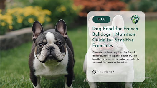Best Dog Food For French Bulldogs