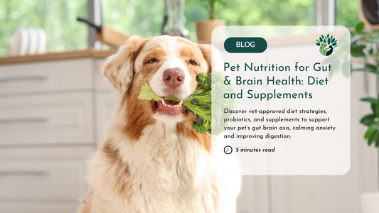 Nutrition for Pet Gut and Brain Health