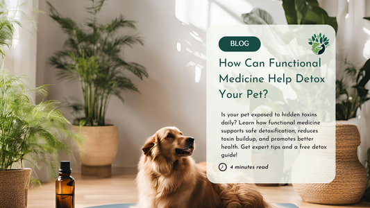 How to Detox Your Pets Naturally with Functional Medicine