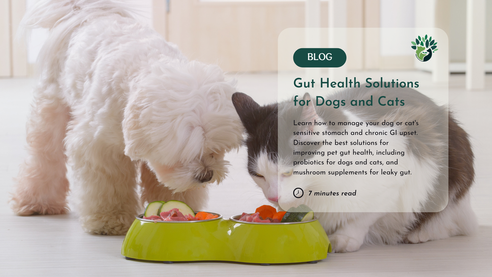 Holistic Veterinary Care and Pet Resources - Dr. Ruth Roberts