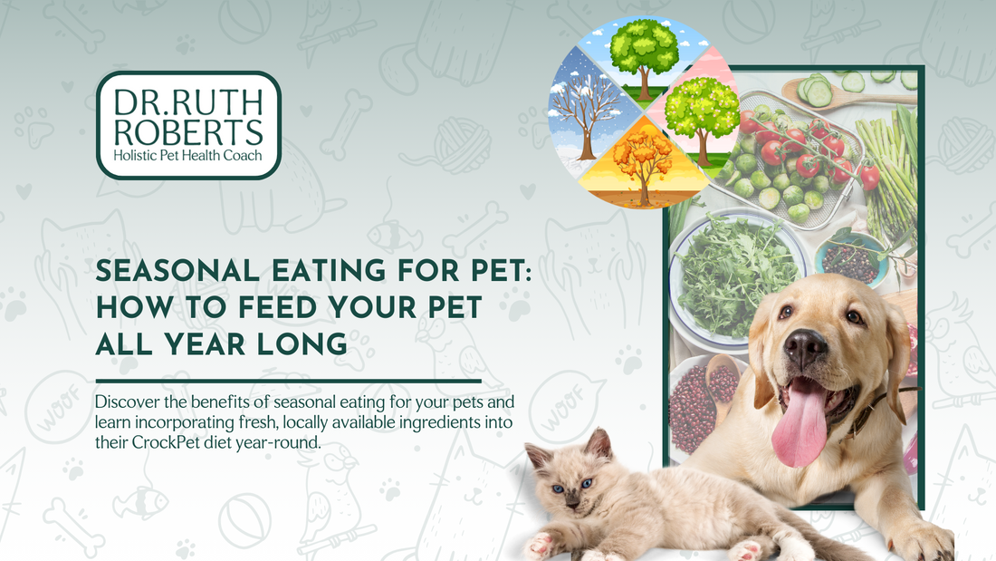 Seasonal Eating: A Year-round Diet to Keep Your Pet Healthy