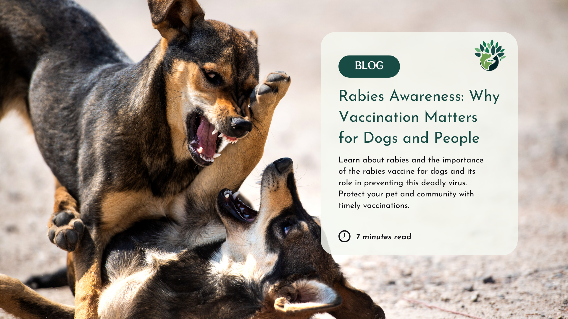 Rabies Vaccine for Dogs: Why Vaccination is Crucial for Pets and Humans