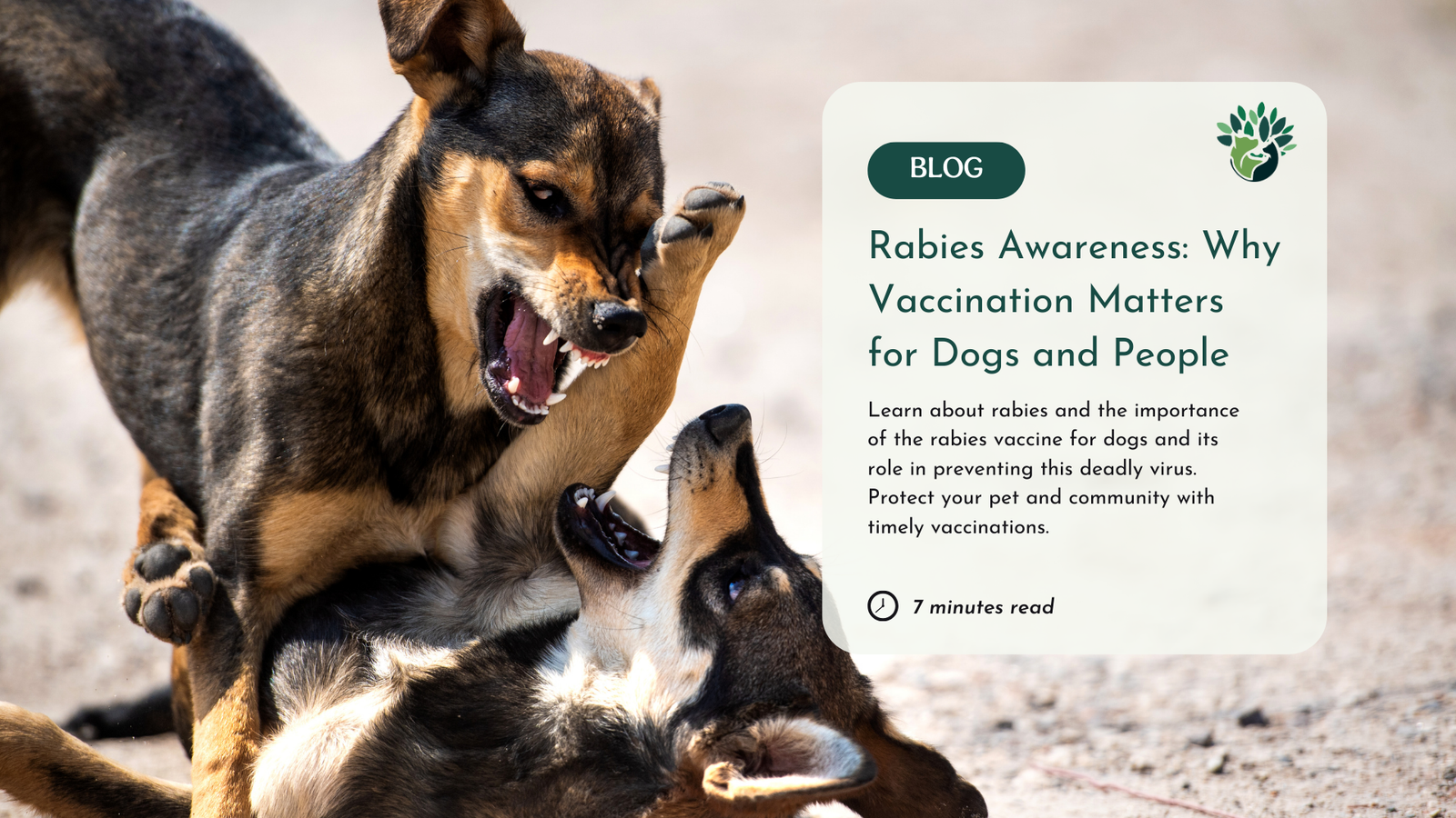 Dog Behavior Change After Rabies Vaccination: What to Expect
