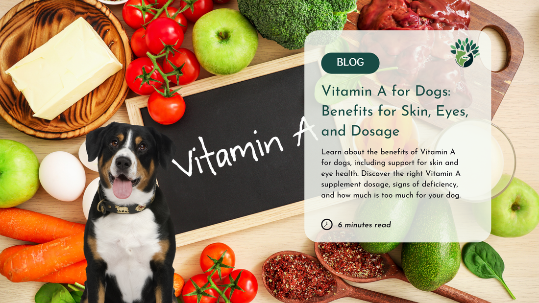 vitamin A for dogs