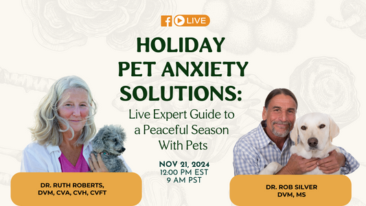 Ways to Manage Holiday Stress for Dogs and Cats with Dr. Rob Silver