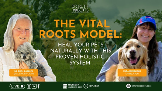 The Vital Roots Holistic Model: How to Naturally Support Chronic Illness in Pets