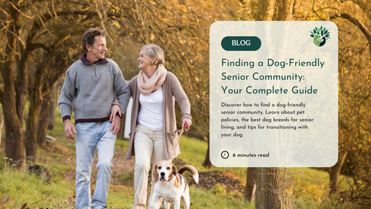 The Best Tips for Finding a Pet-Friendly Senior Living Community