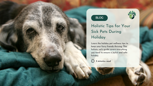 A Holistic Vet's Guide to Keeping Your Pets Safe During Holiday