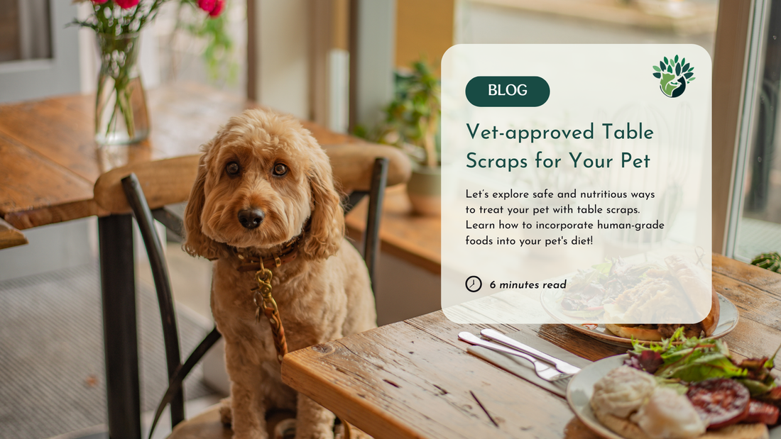 A Veterinarian’s Suggestion for Healthy Table Scraps