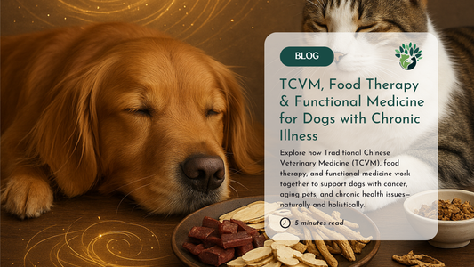 Chinese Medicine for Dogs and Cats: Food Therapy, Herbs, and Functional Wellness