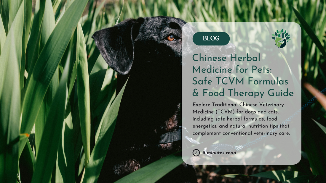 Chinese Medicine for Dogs and Cats: Food Therapy and Herbs