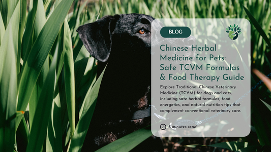 Chinese Medicine for Dogs and Cats: Food Therapy and Herbs
