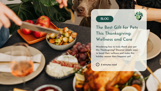 Why Wellness is the Best Gift for Pets This Thanksgiving Season