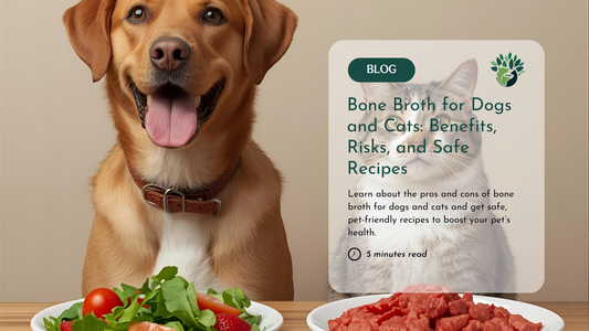 Can Dogs and Cats Be Vegan? What Science Really Says About Pet Diets