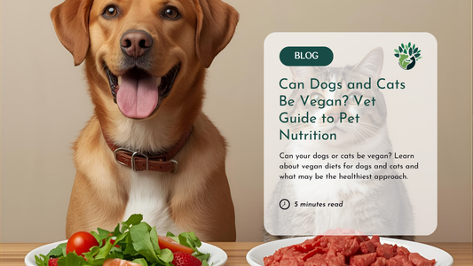 Can Dogs and Cats Be Vegan? What Science Really Says About Pet Diets