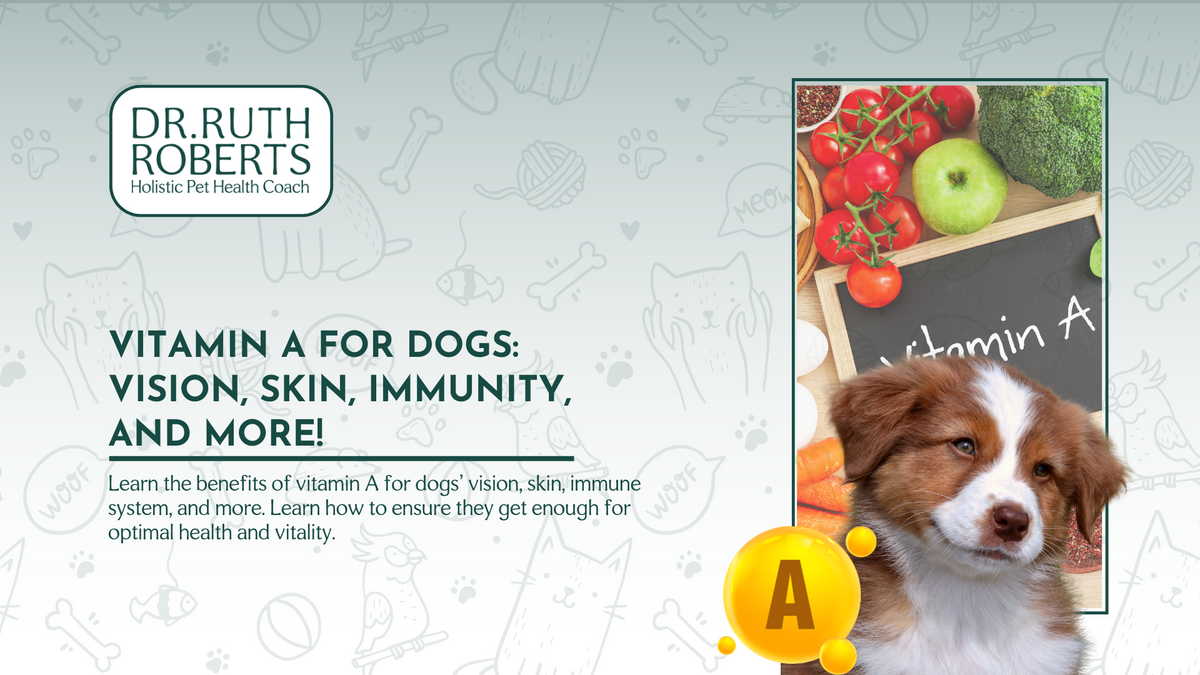 4 Important Benefits of Vitamin A for Dogs