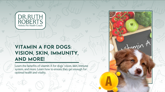 The Benefits of Vitamin A for Dogs