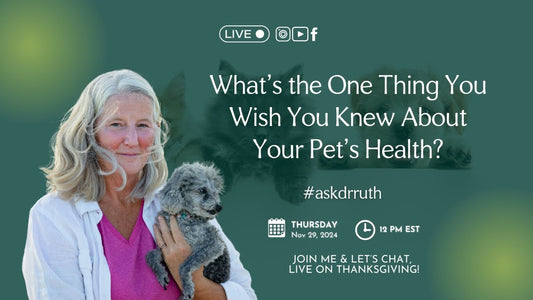 If You Could Know One Thing About Your Pet’s Health, What Would It Be?