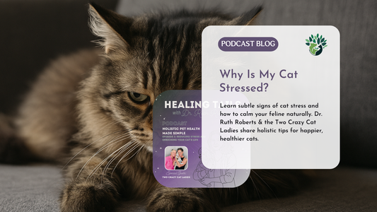 Cat Stress Signs: How to Spot Them and Calm Your Cat at Home