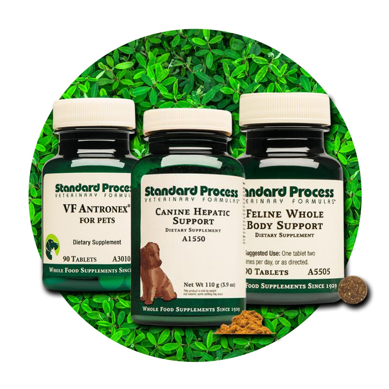 Standard process hot sale pet supplements