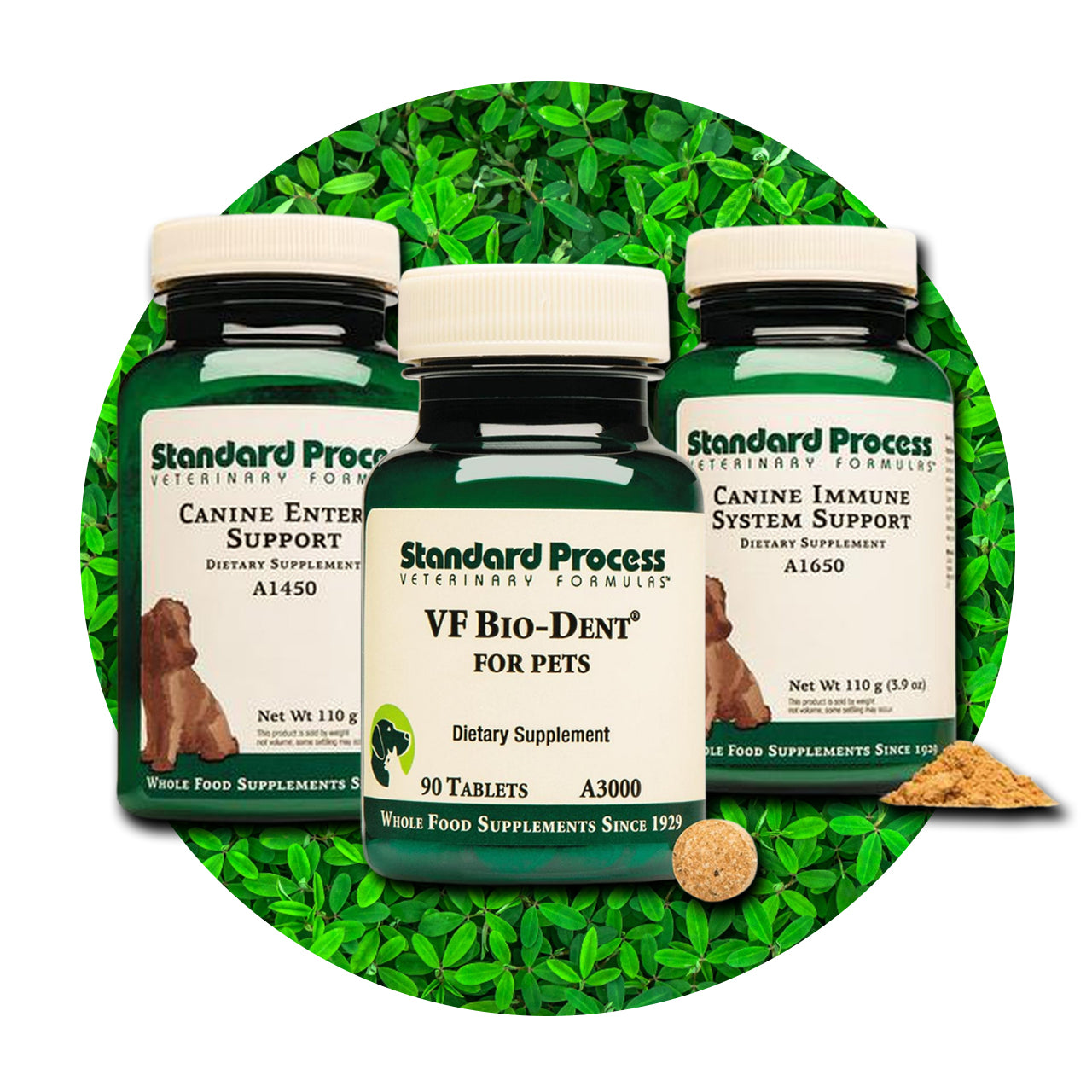 Standard process sale canine musculoskeletal support