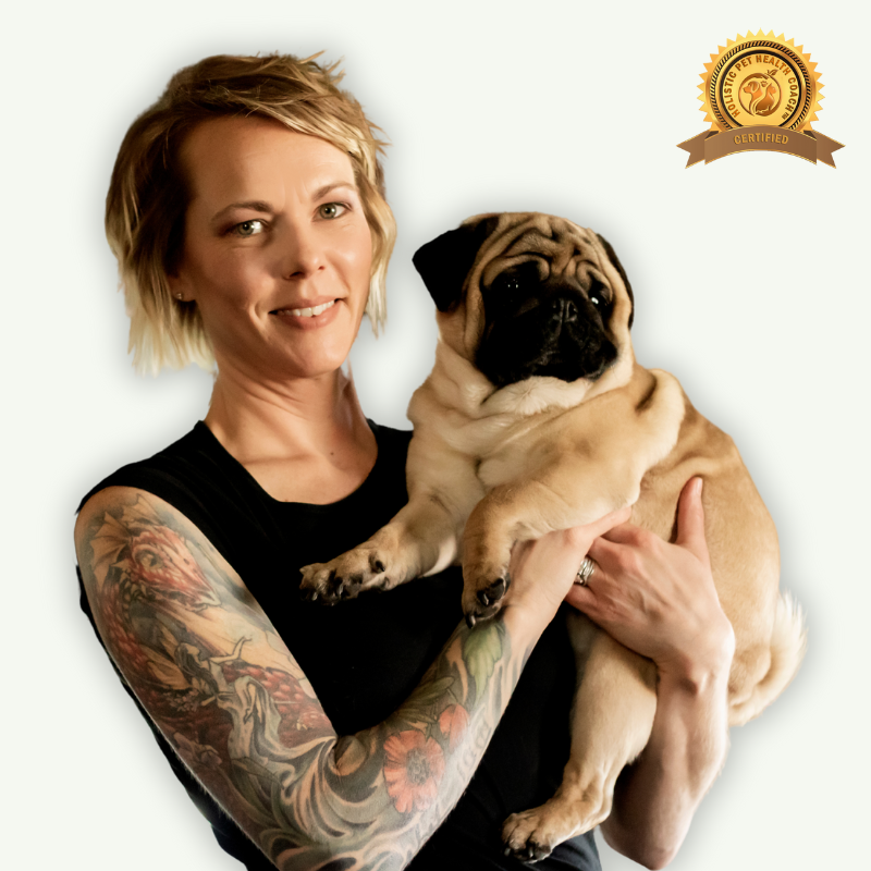  Maggie Shellhammer, a woman with short blonde hair, is smiling and holding a tan pug. She is wearing a black sleeveless top, revealing tattoos on her left arm. There is a badge in the top right corner of the image that says "Certified" and includes the logo of "Holistic Pet Health Coach."